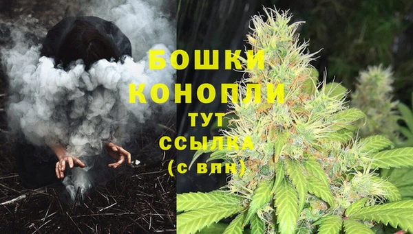 винт Балахна