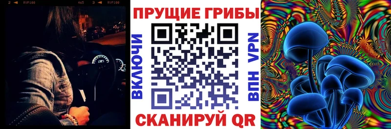 Псилоцибиновые грибы Cubensis  Заволжск 